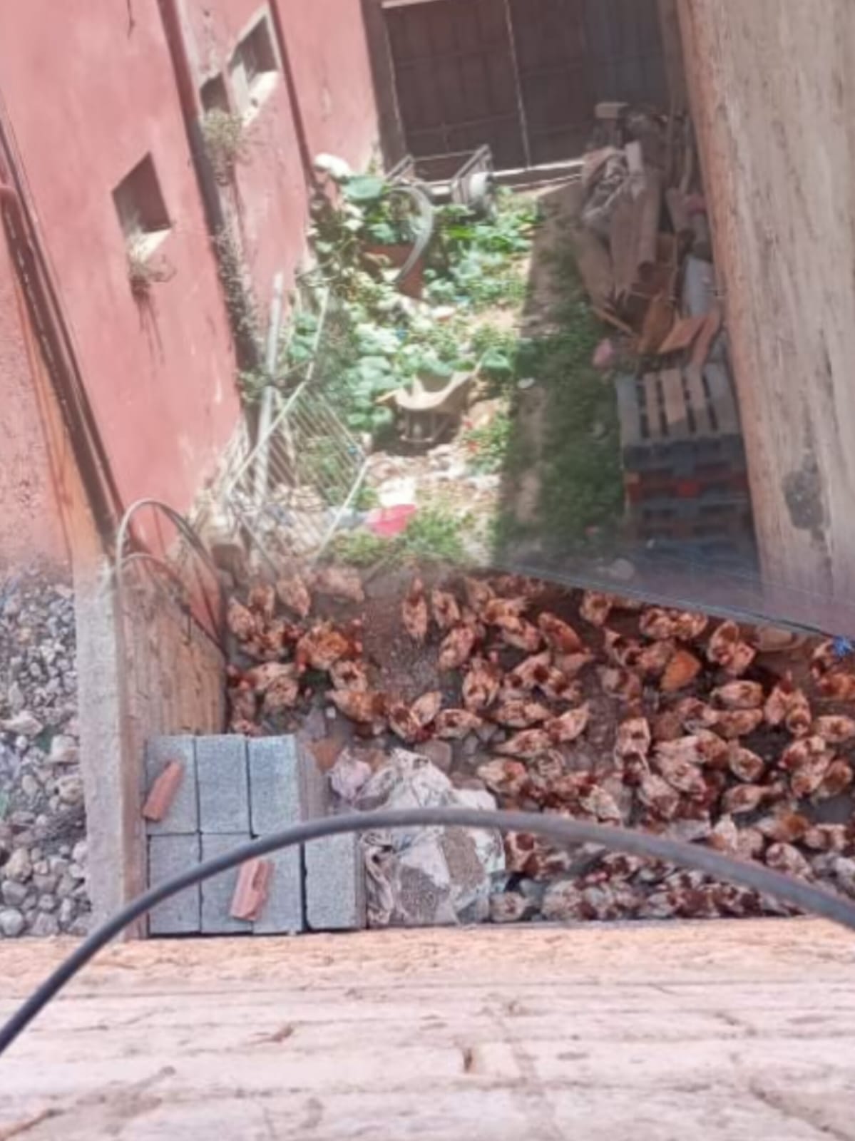 ساكنة سيدي علي بن حمدوش تستغيث: ممر عمومي يُغلق بالقوة وحمام تقليدي يتوسع خارج القانون