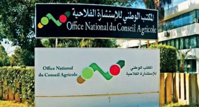 المديرية الجهوية للاستشارة الفلاحية بدرعة تافيلالت تعزز حضورها في المعرض الدولي للورد العطري بقلعة مكونة