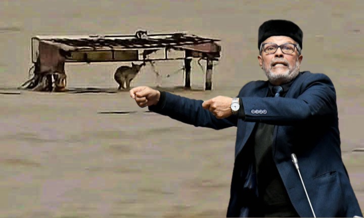 تصريحات رئيس جماعة القصر الكبير تثير الغضب.... لست رئيساً للكلاب والقطط