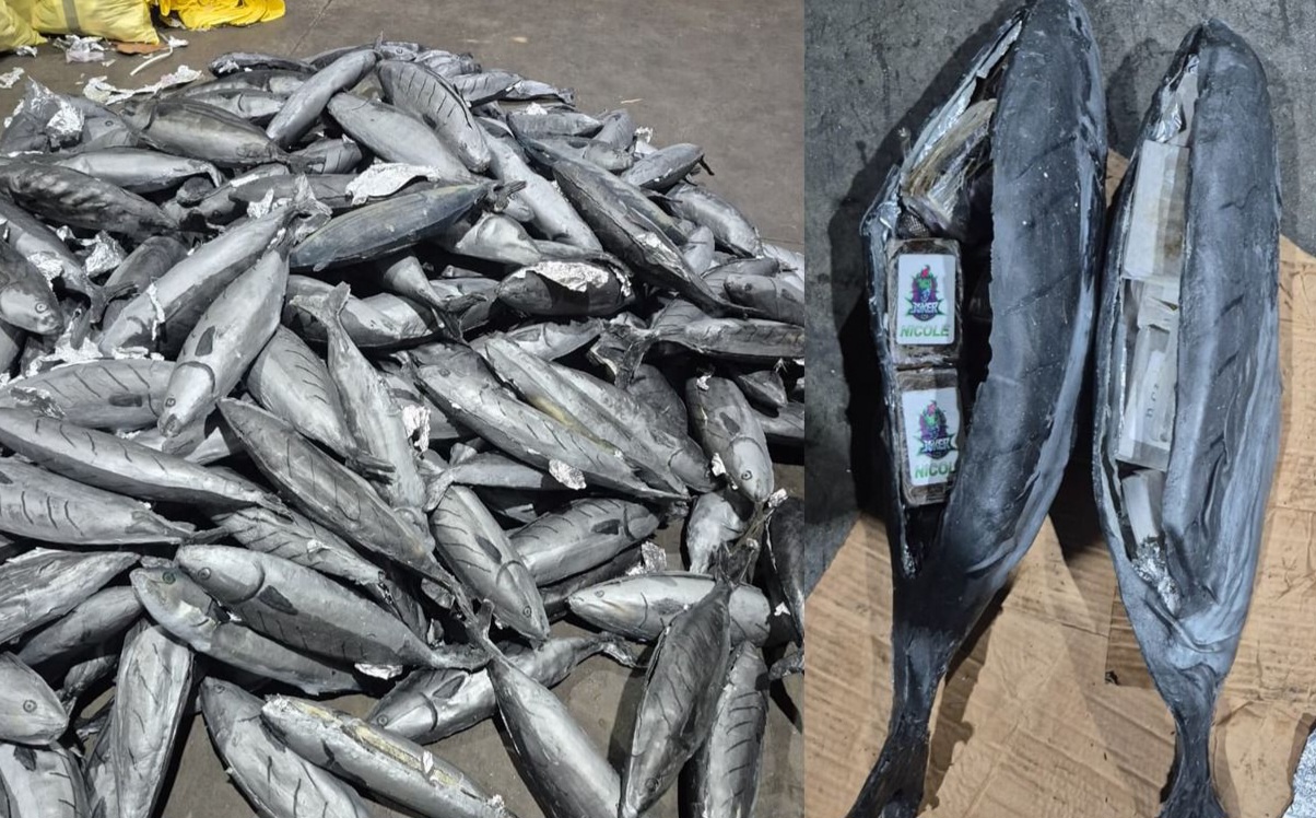 حجز حوالي 4 أطنان من مخدر الشيرا بميناء طنجة المتوسط